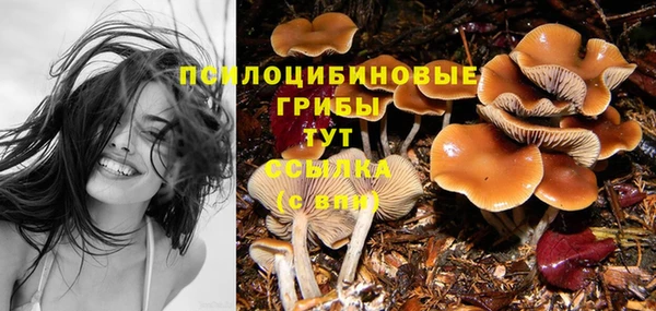 сатива Армянск
