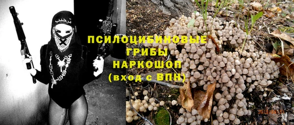 сатива Армянск